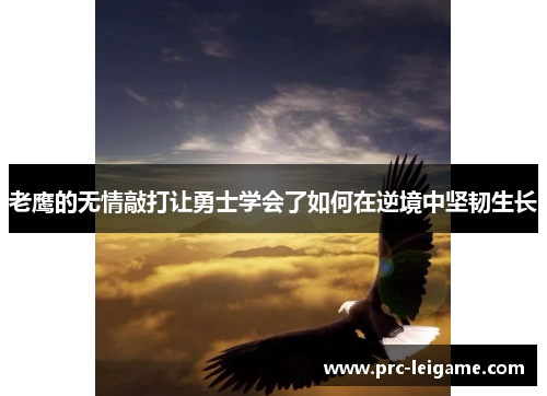 老鹰的无情敲打让勇士学会了如何在逆境中坚韧生长